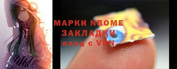 шишки Богородицк