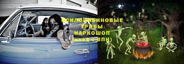 шишки Богородицк